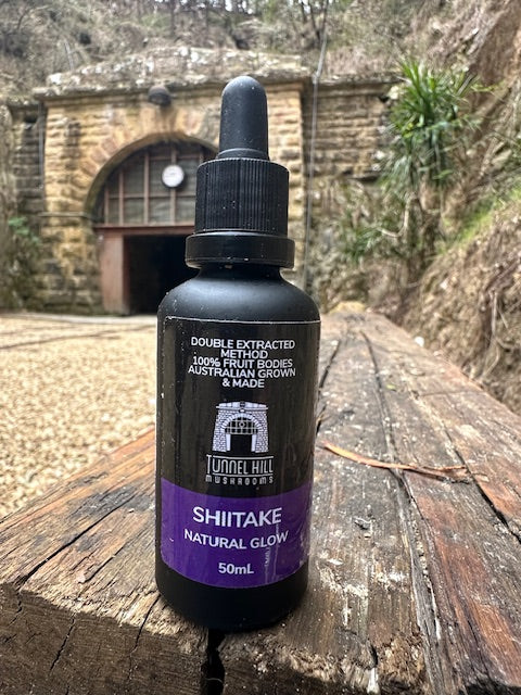 Mushroom Tincture Varieties (50ml)
