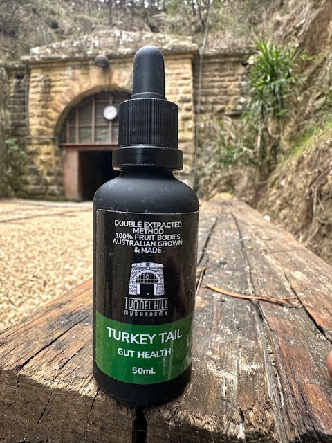 Mushroom Tincture Varieties (50ml)
