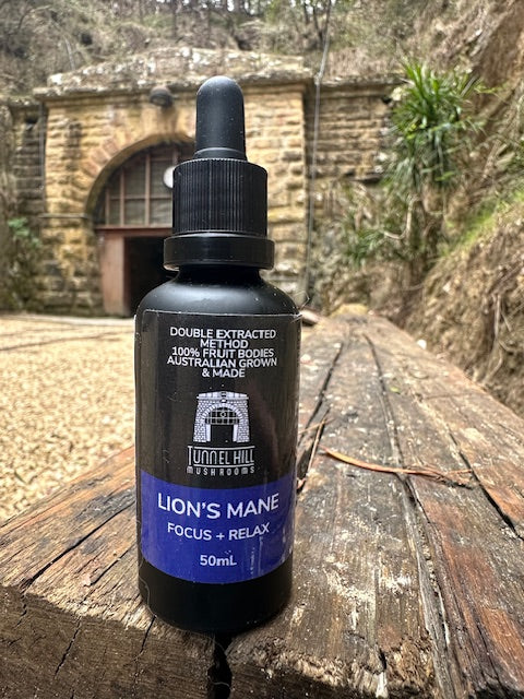 Mushroom Tincture Varieties (50ml)
