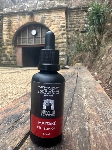 Mushroom Tincture Varieties (50ml)