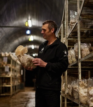 Farm, Tunnel and Food Experience