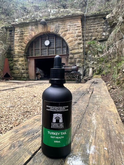 Turkey Tail Tincture (100ml)