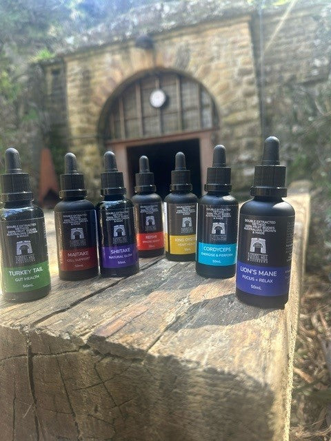 Mushroom Tincture Varieties (50ml)