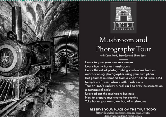 Mushroom and Photography Tour